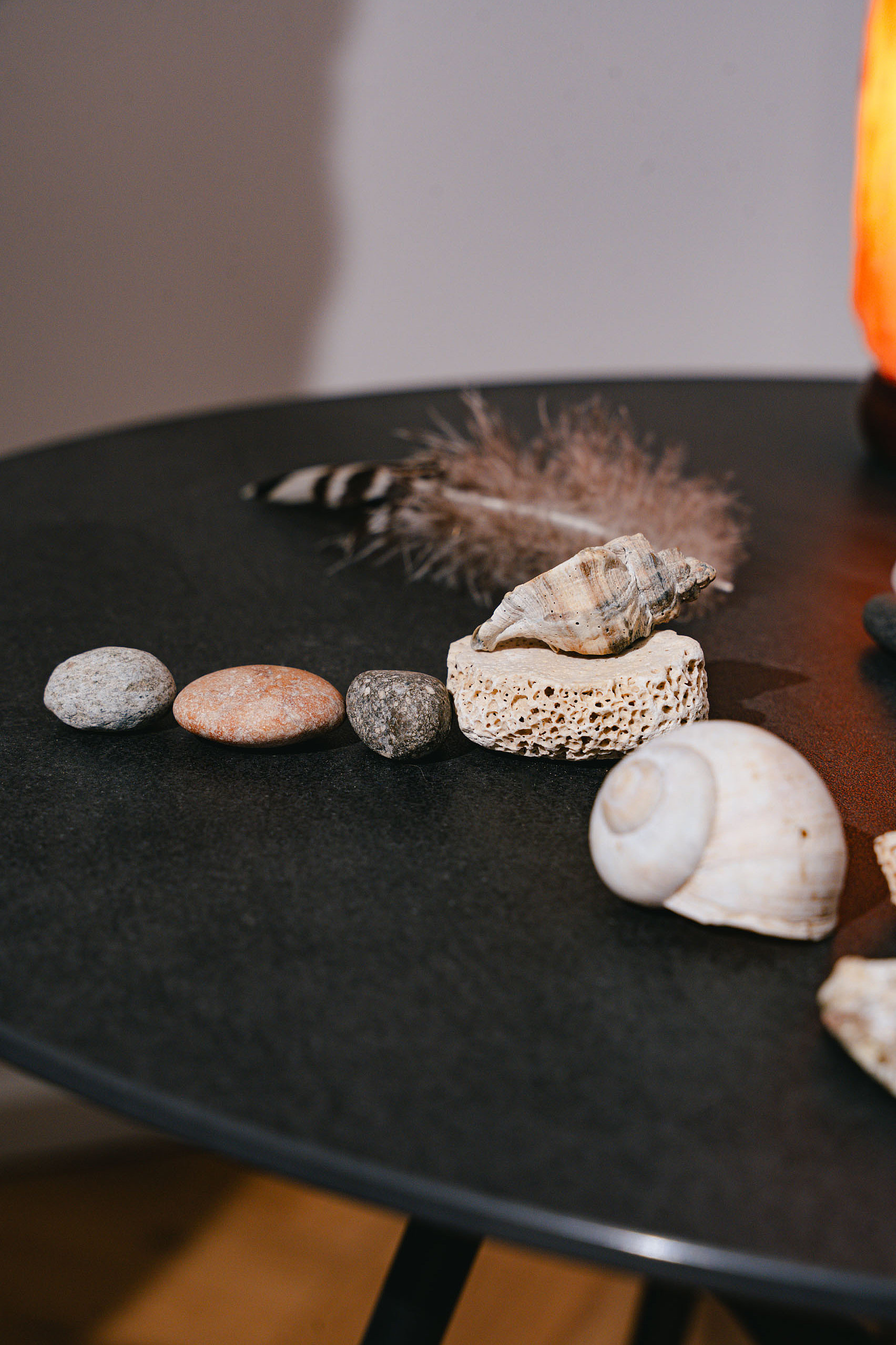 ein Schneckenhaus und verschiedene Steine auf einem Tisch