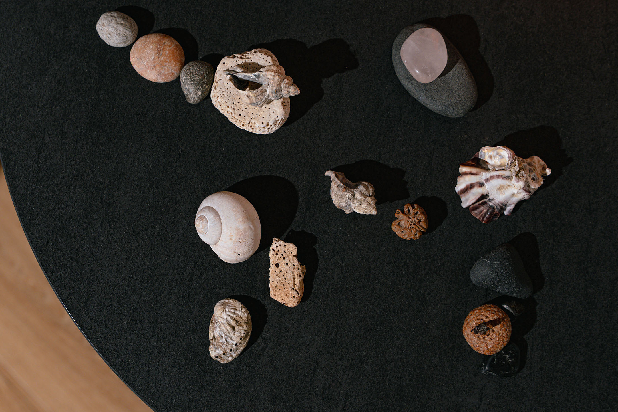 ein Schneckenhaus, verschiedene Steine und Muscheln auf einem schwarzen Tisch