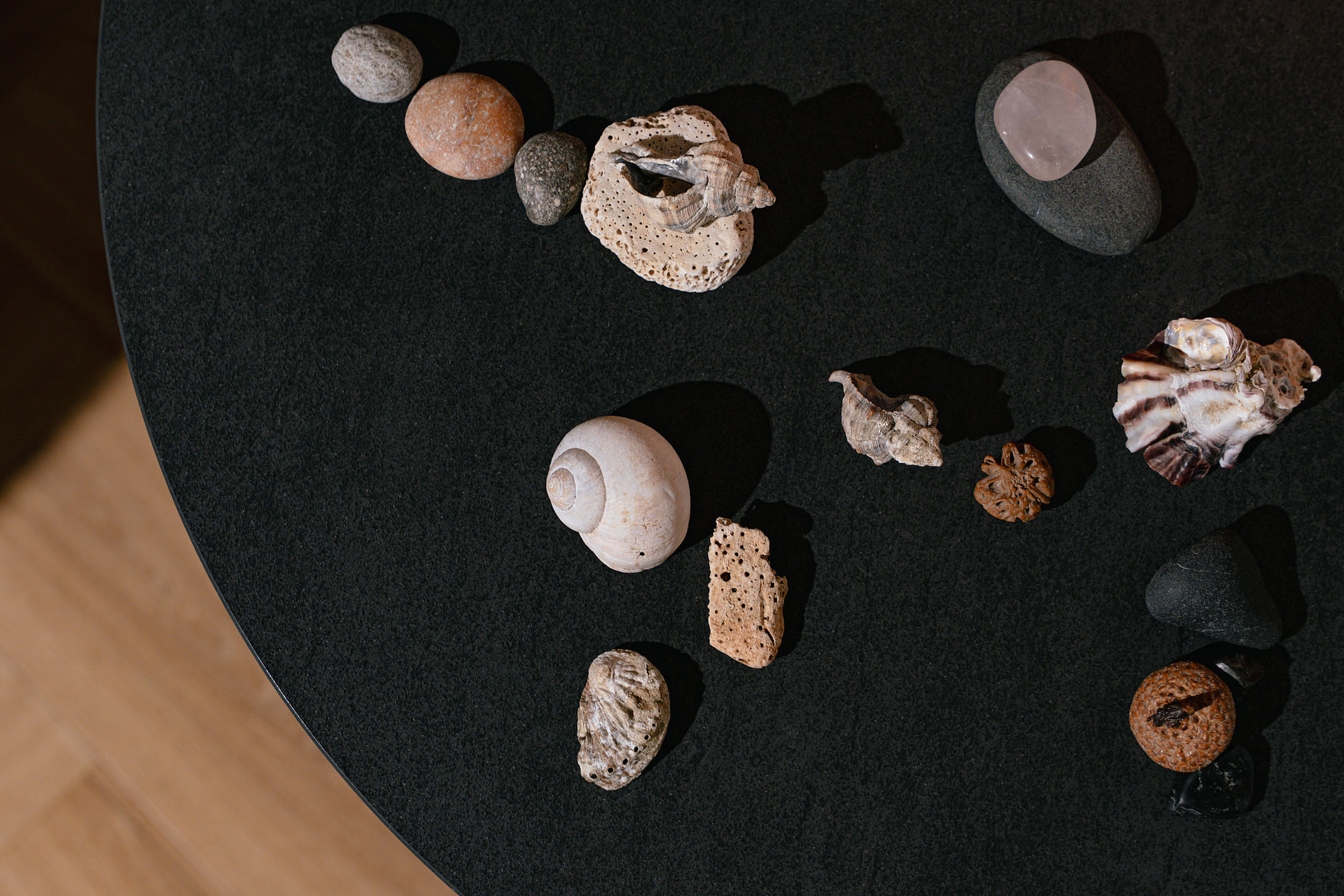 ein Schneckenhaus, verschiedene Steine und Muscheln auf einem schwarzen Tisch
