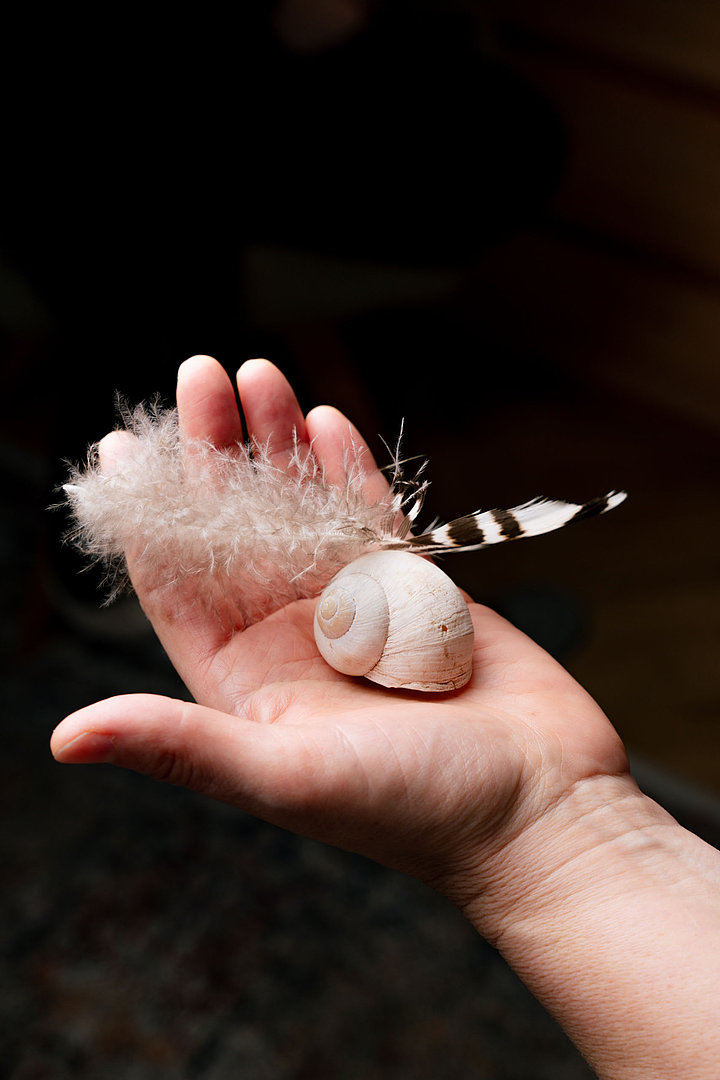 Dr. Johanna Sohm hat zwei Federn und ein Schneckenhaus in der Hand.