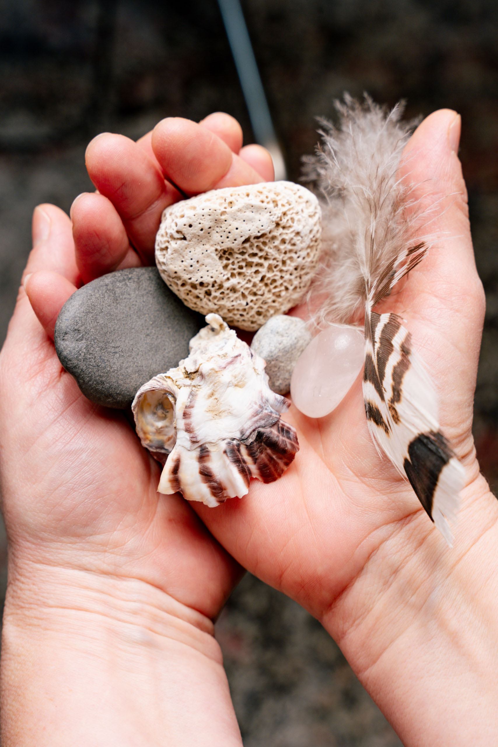 Dr. Johanna Sohm hat verschiedene Steine und Muscheln in der Hand.